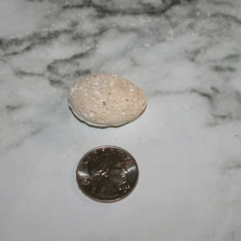 HAND CRAFTED 2 Jasmine Aroma Stones Aromatherapy Essential Oil Diffuser Pair